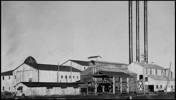 Image:Rosboro lumber company 1940s.JPG