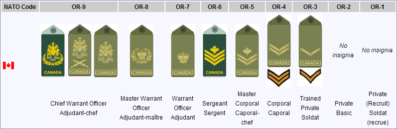 Image:Rank structure 2.PNG