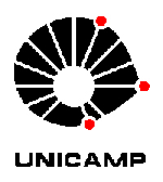Image:logo_Unicamp1.png
