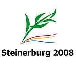 Image:Steinerburg08.png