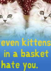 Even kittens in a basket hate you.