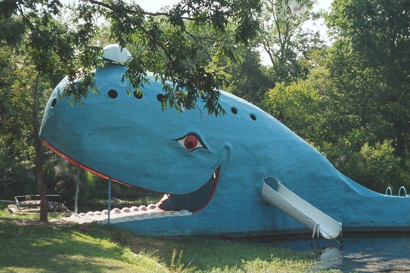 Image:Blue whale.jpg