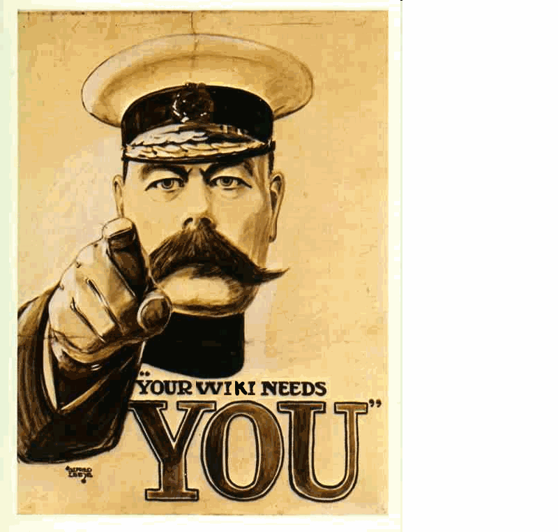 File:Your Wiki Needs You.png